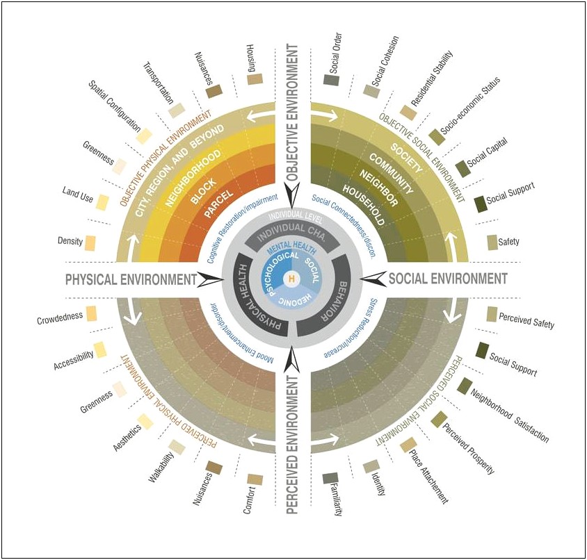 Mental Health Planning And Evaluation Template