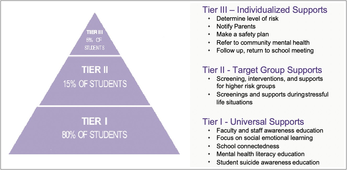 Mental Health Safety Plan Template For Youth