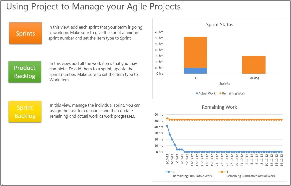 Microsoft Office 2010 Project Plan Template