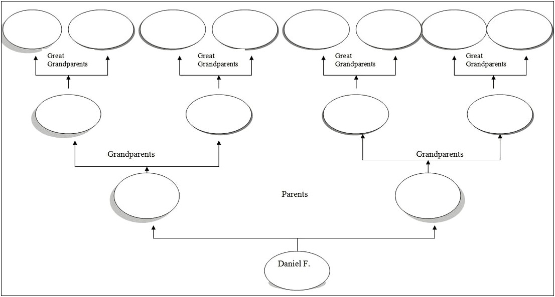 Microsoft Word 2007 Family Tree Template