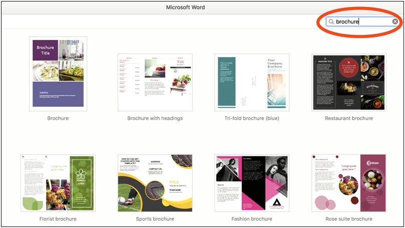 Microsoft Word 2010 Tri Fold Brochure Templates