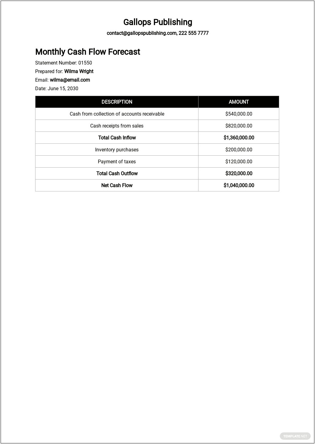 Microsoft Word Financial Statement Document Template