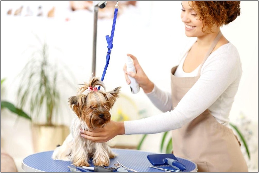 Mobile Dog Grooming Business Plan Template