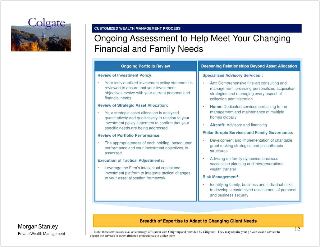 Morgan Stanley Financial Advisor Business Plan Template