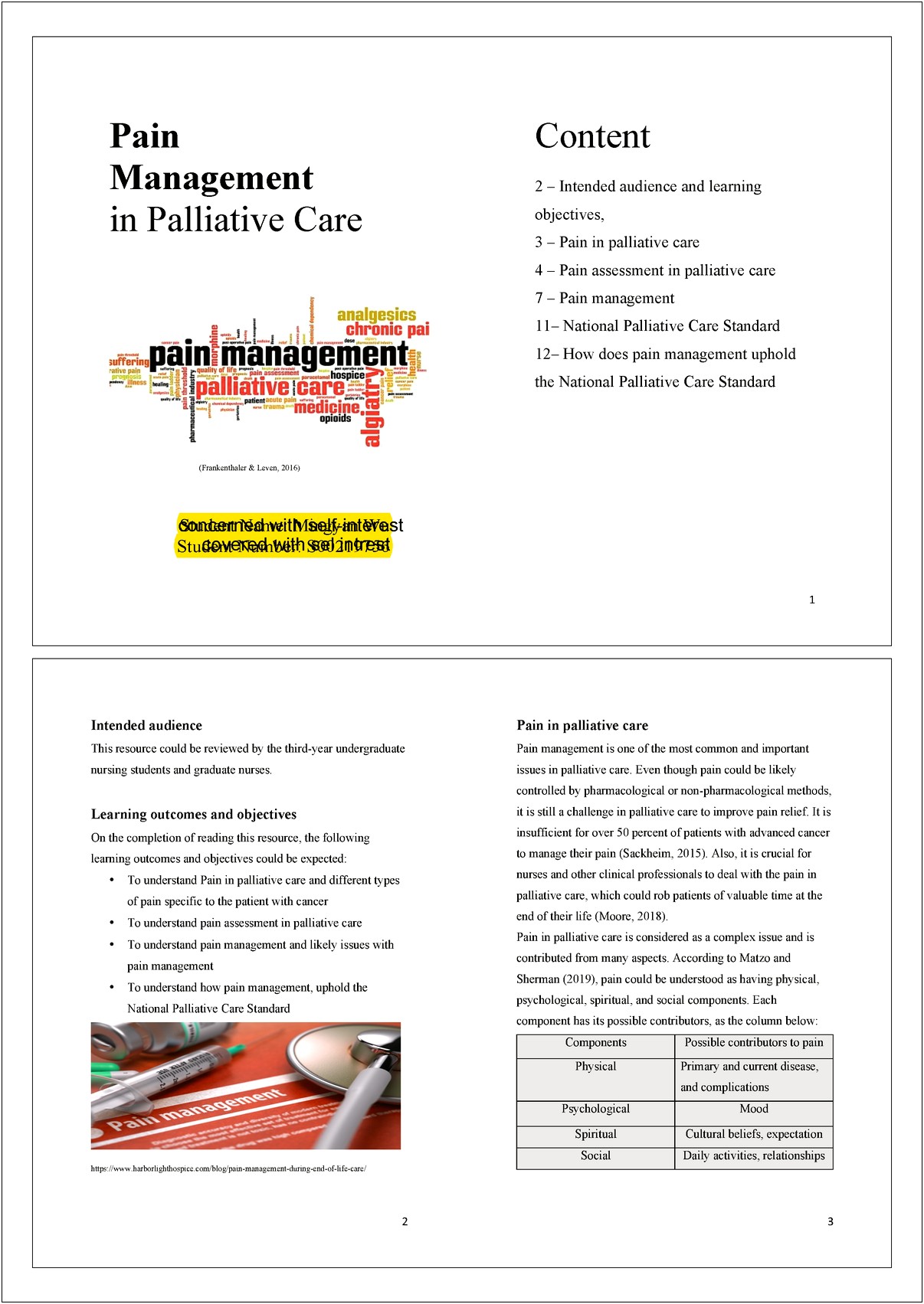 Ms Word Palliative Care Assessment Template