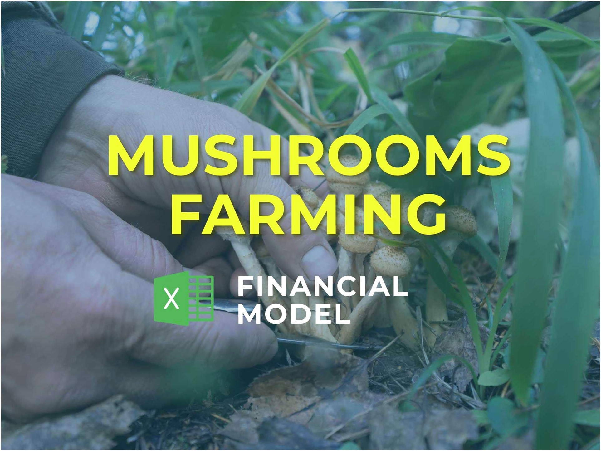 Mushroom Farming Business Plan Template Pdf