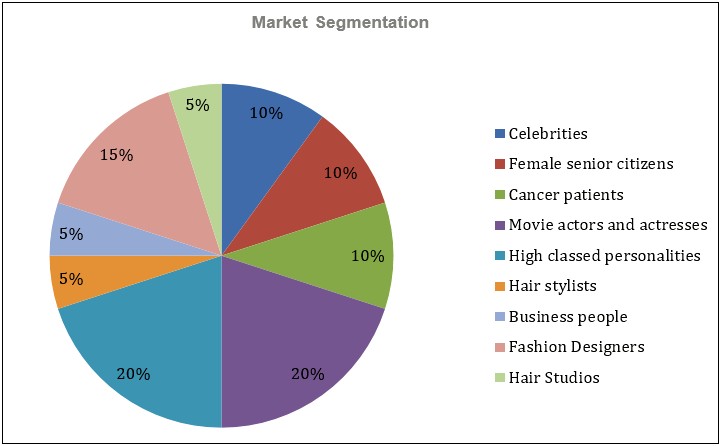 Natural Hair Products Business Plan Template