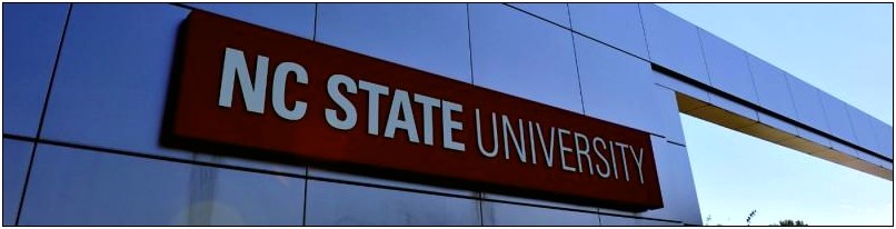 Nc State Univercity Business Plan Template