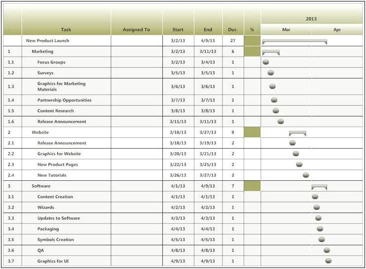 New Product Launch Business Plan Template