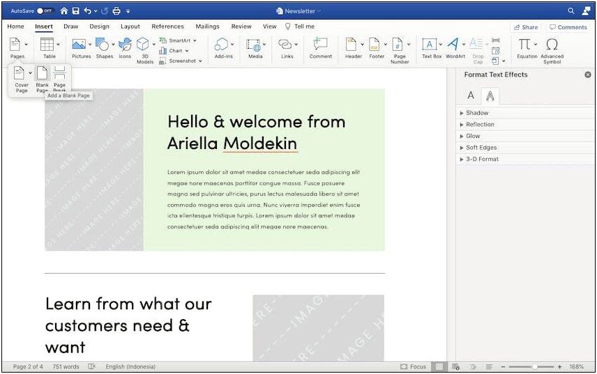 Newsletter Templates Word 11 X 17