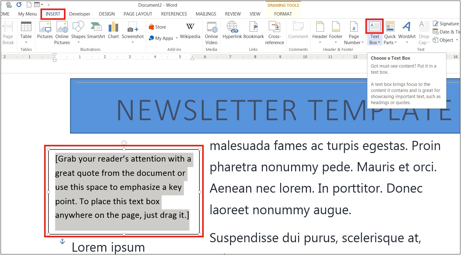 Newsletter Templates Word Not For Profit