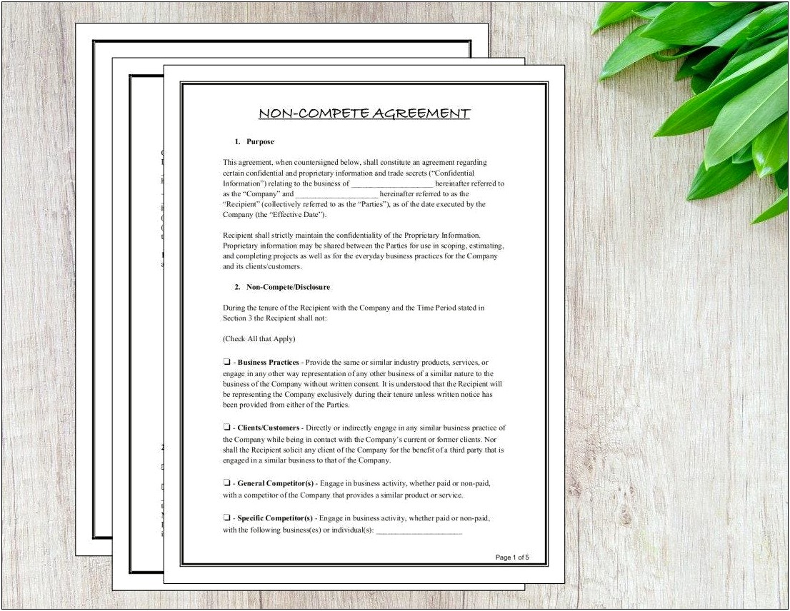 Non Disclosure Non Compete Agreement Template Word