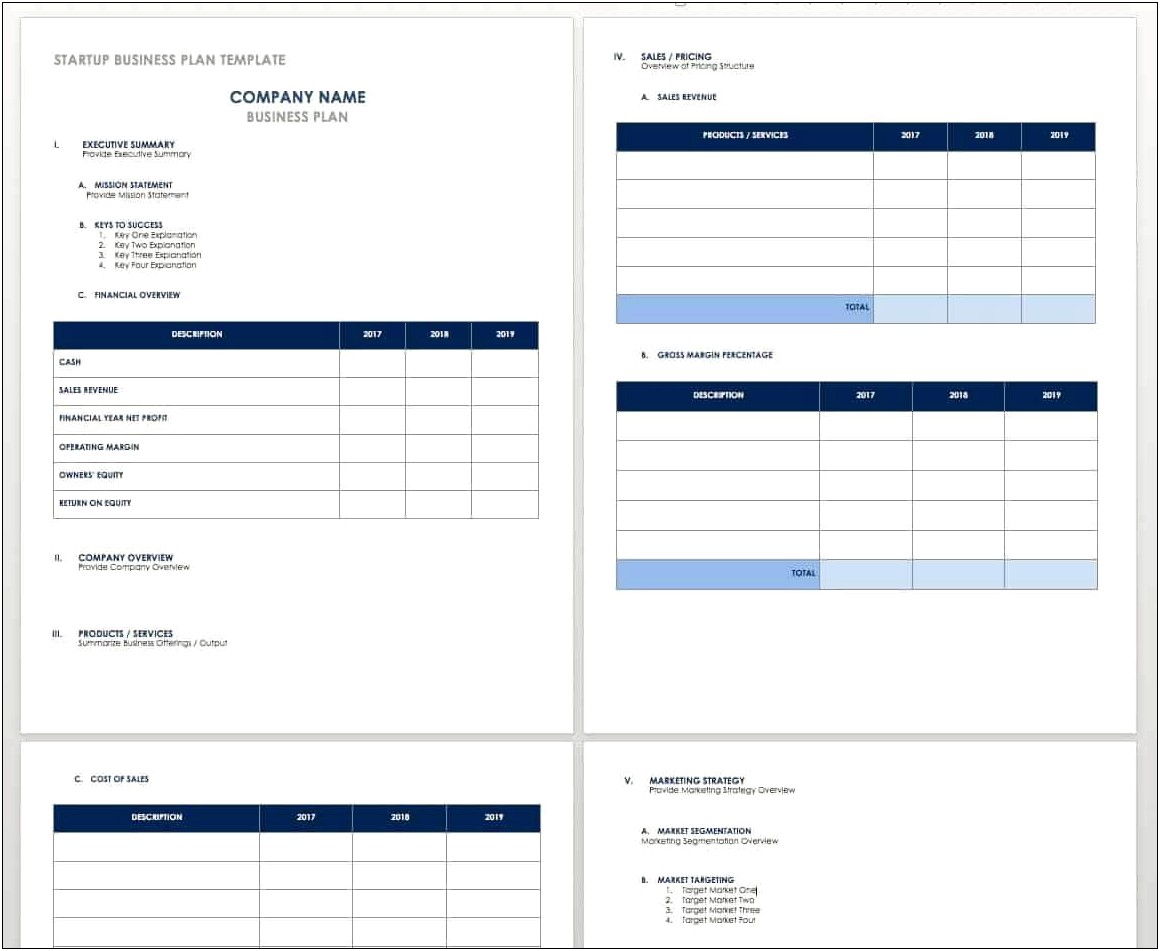 Non Profit Start Up Business Plan Template