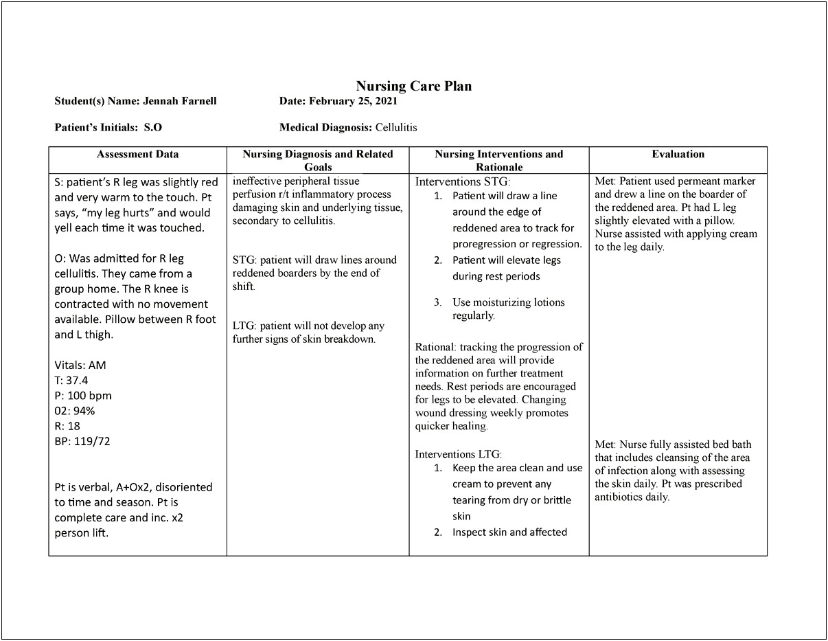 Nursing Care Plan Template Home Health