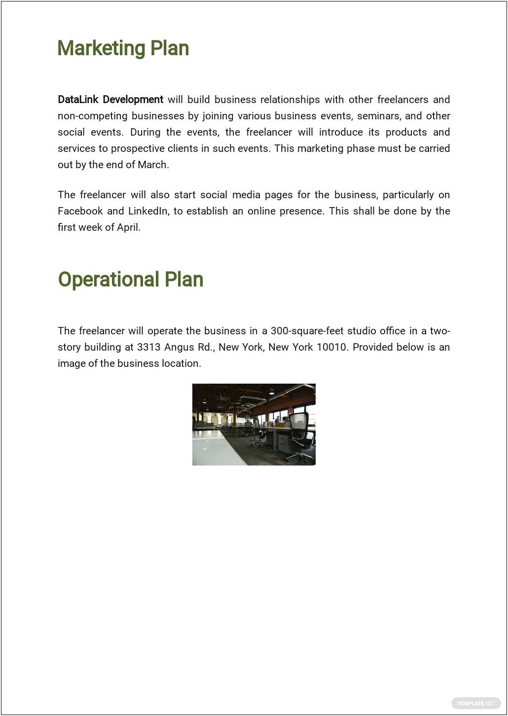 Nyc Business Solutions Business Plan Template