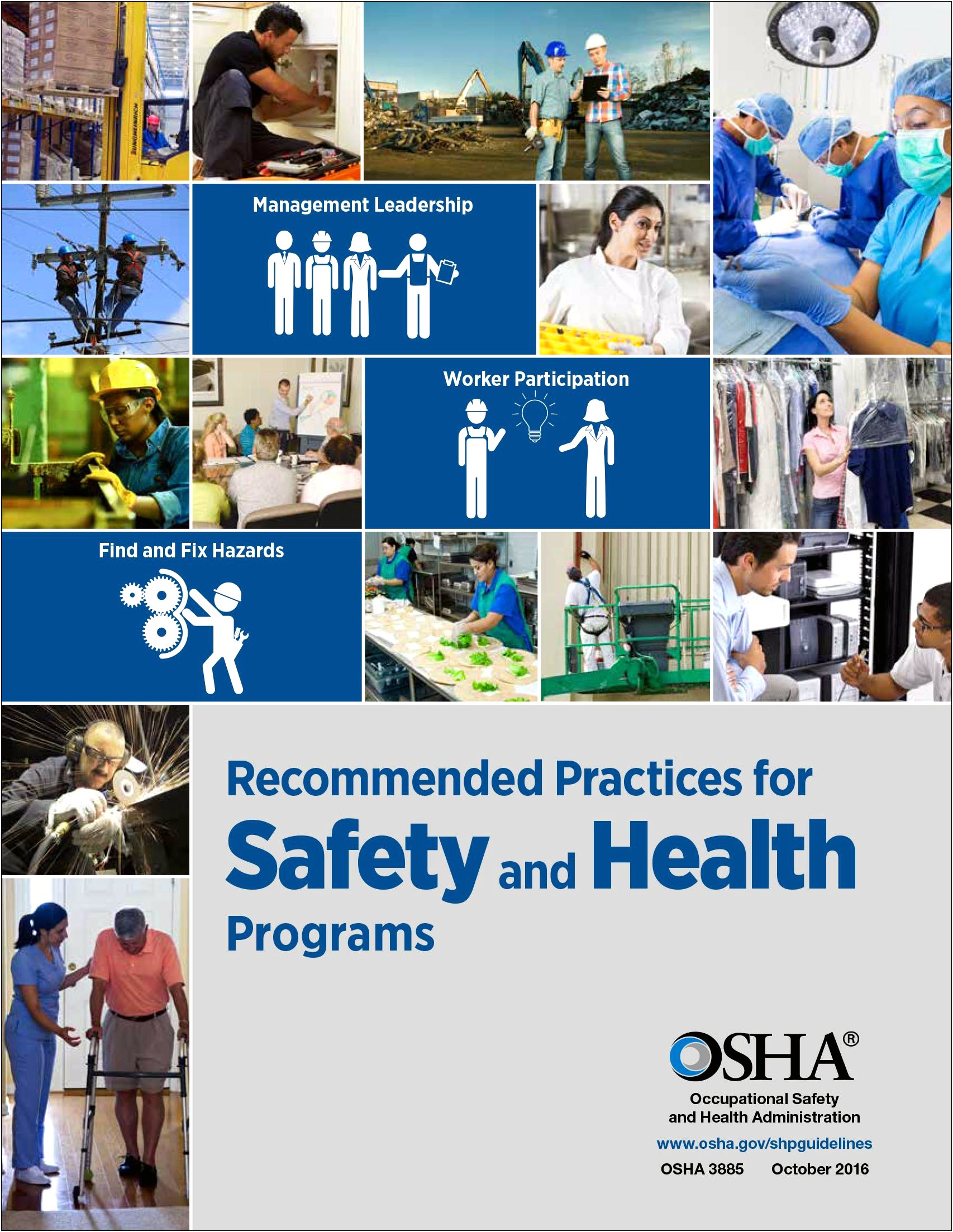 Occupational Health Safety Action Plan Template