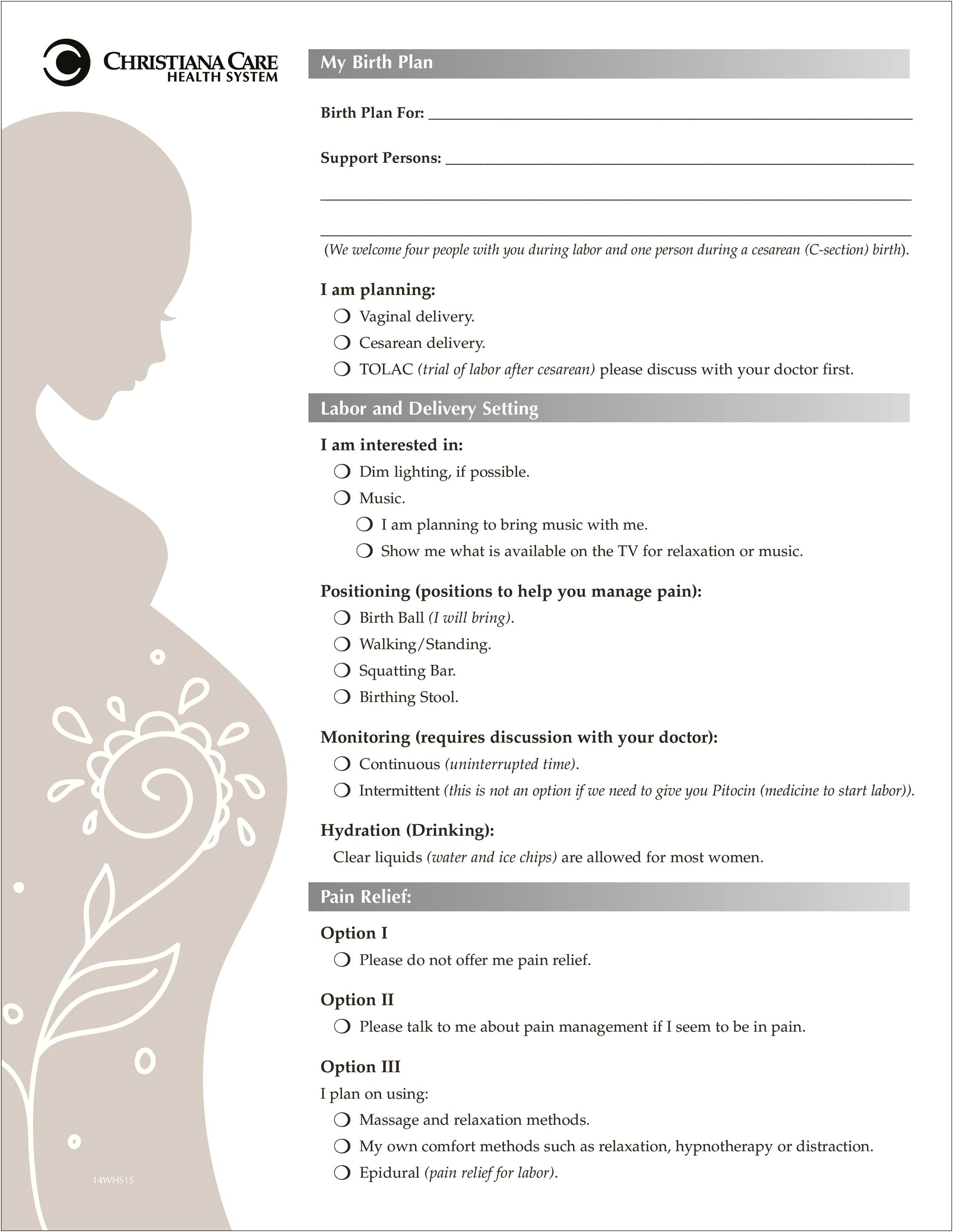 One Page Birth Plan Template Pdf