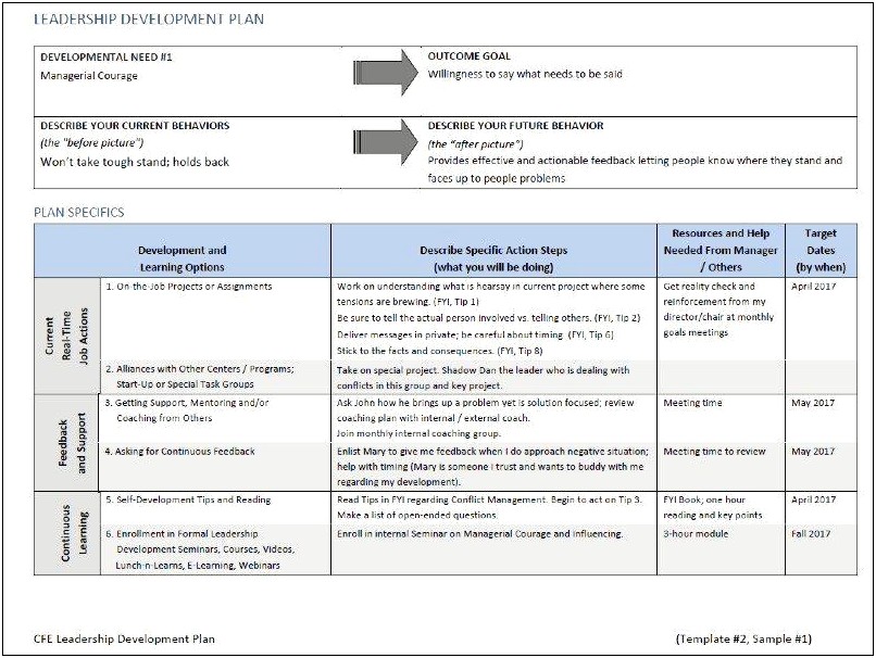 Personal Development Plan Template For Coaching And Mentoring