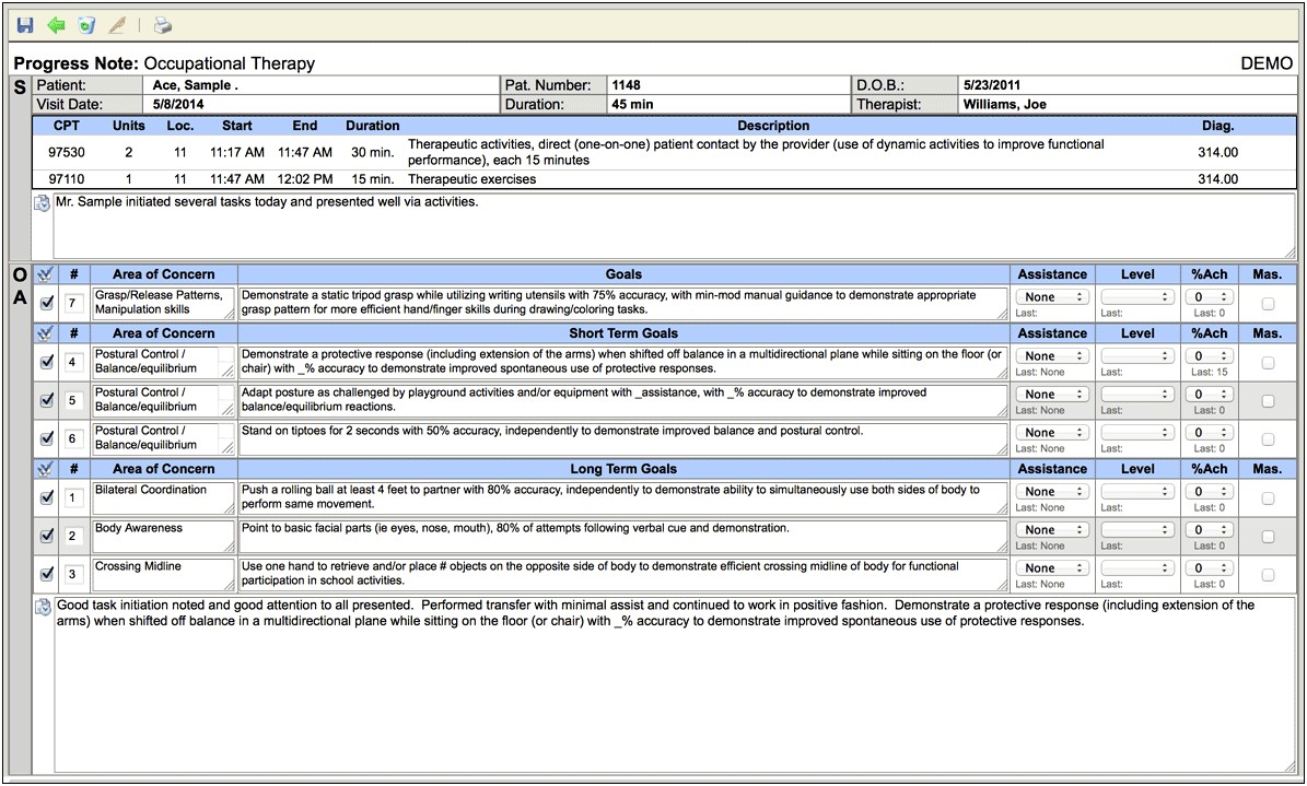 Physical Therapy Plan Of Care Template