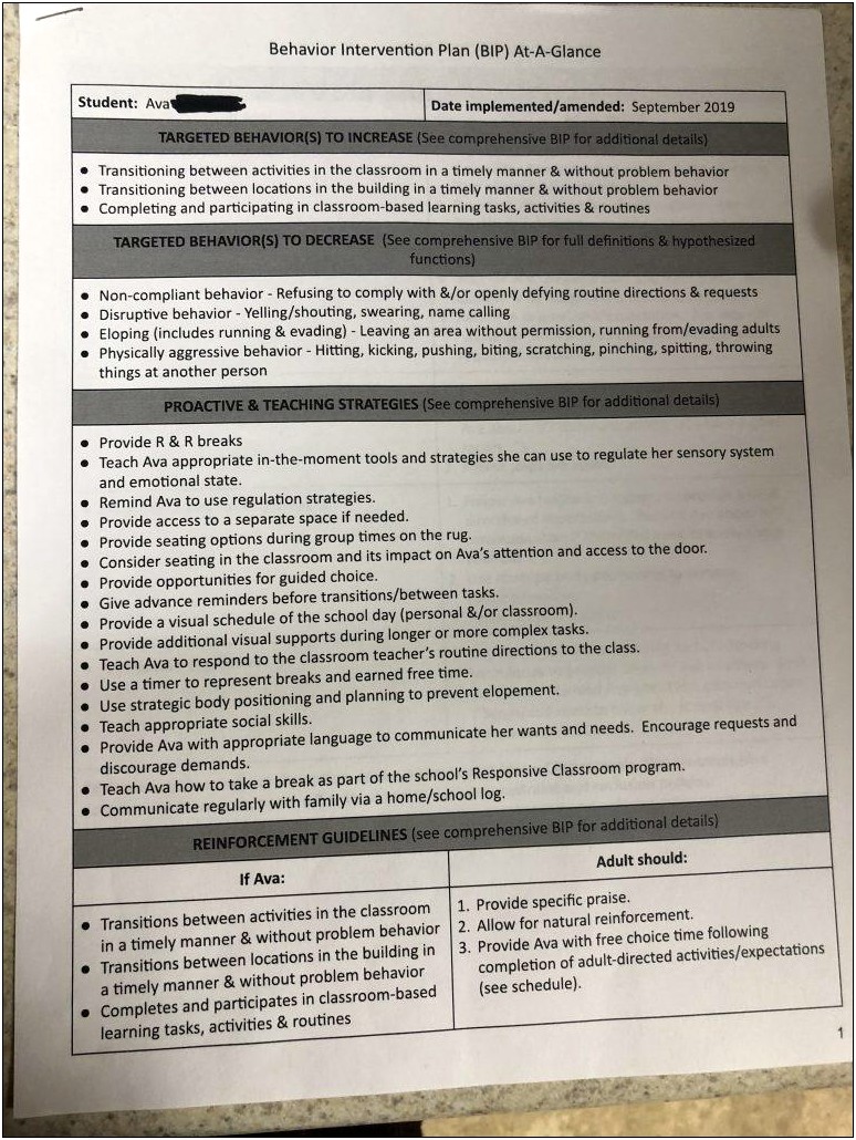 Plan 4 Instructional Behavior Management Plan Template