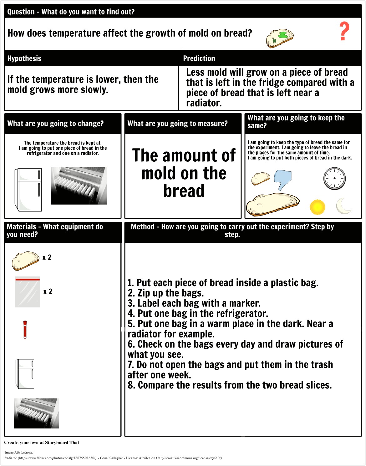 Planning A Science Investigation Ks2 Template