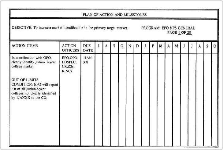 Plans Of Actions And Milestones Template