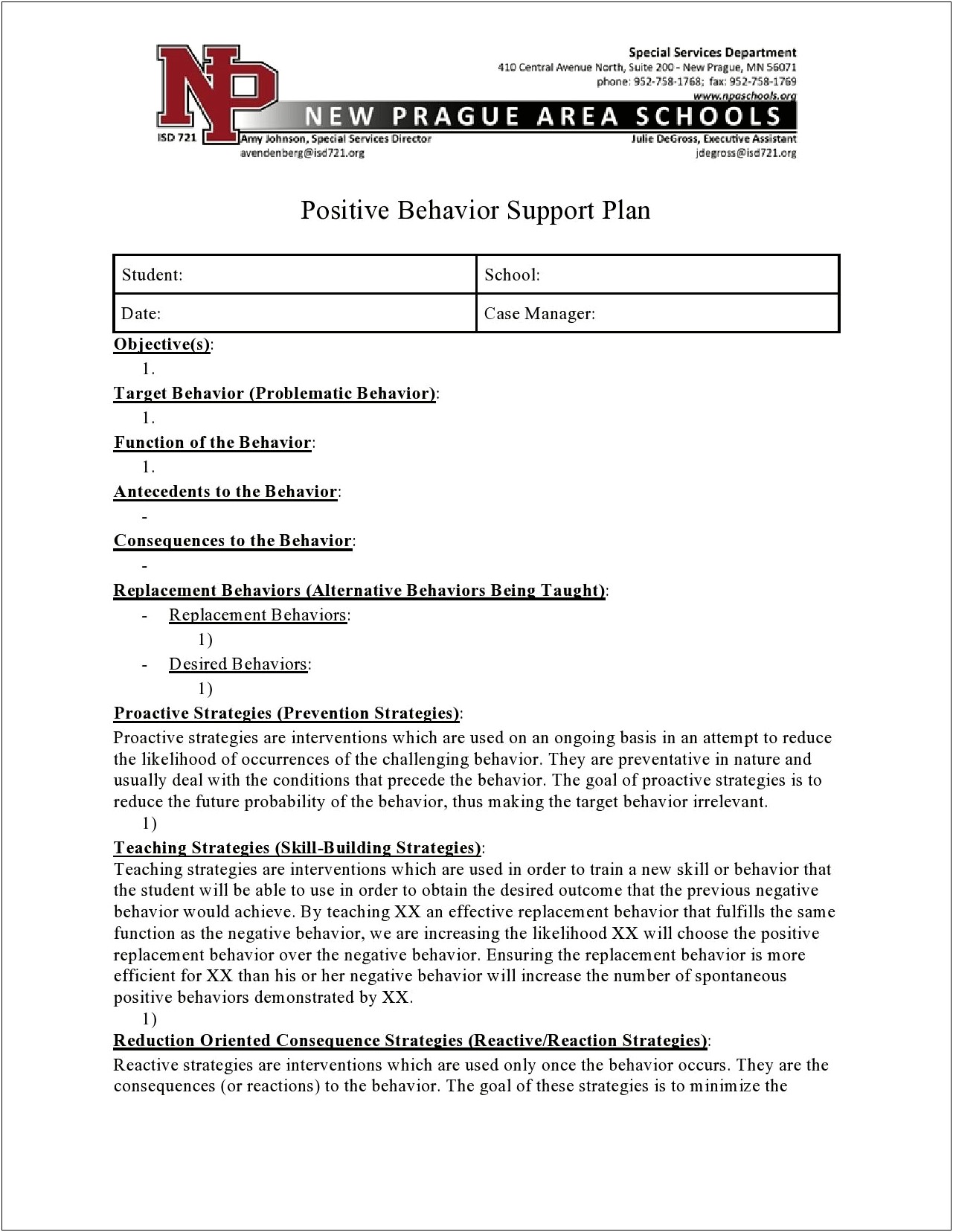 Positive Behavior Support Action Plan Template