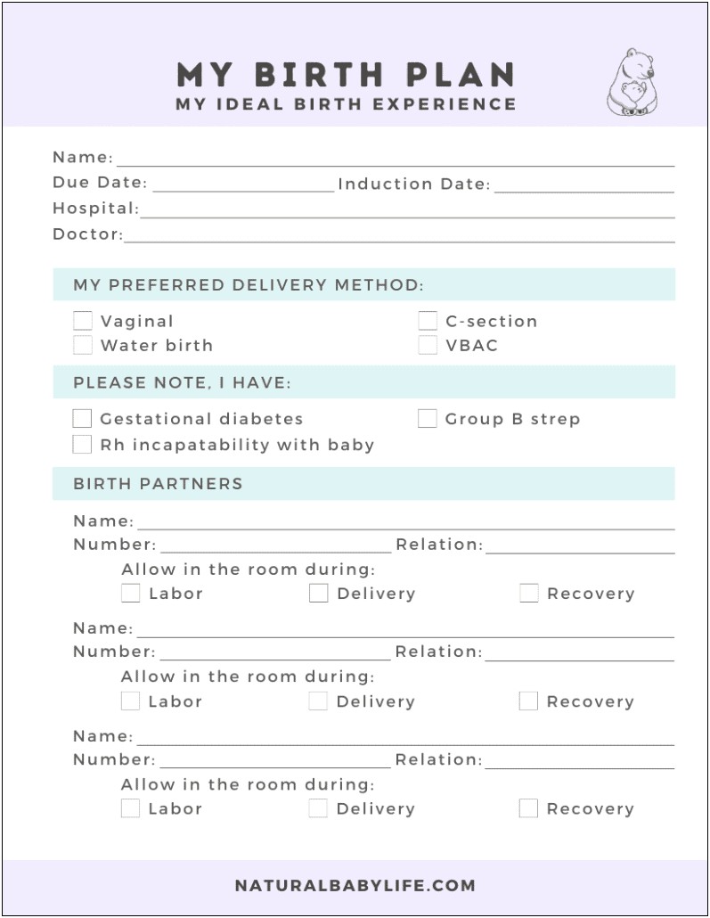 Printable C Section Birth Plan Template