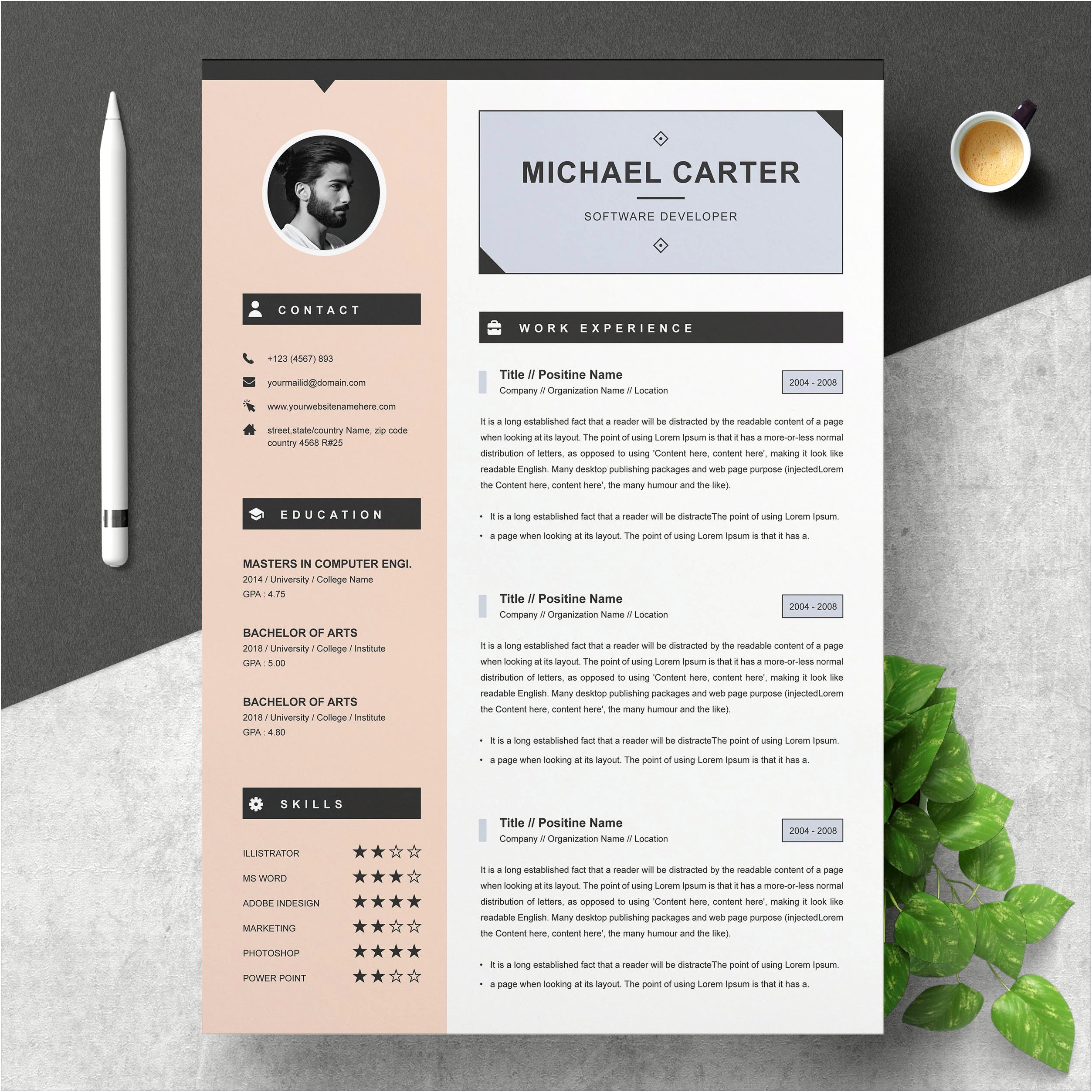 Professional Cv Template 2018 Free Download