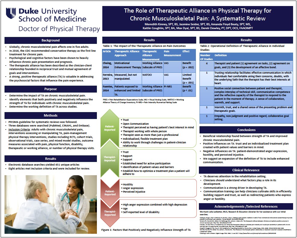 Professional Development Plan Template For Physical Therapist Assistant