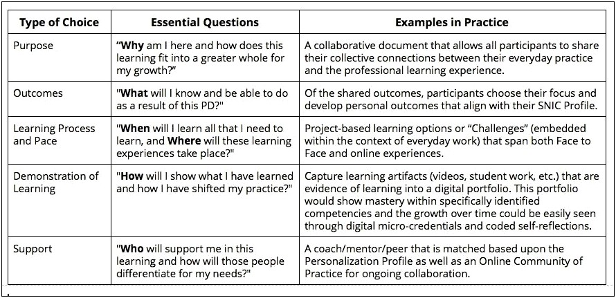 Professional Learning Plan Template For Schools