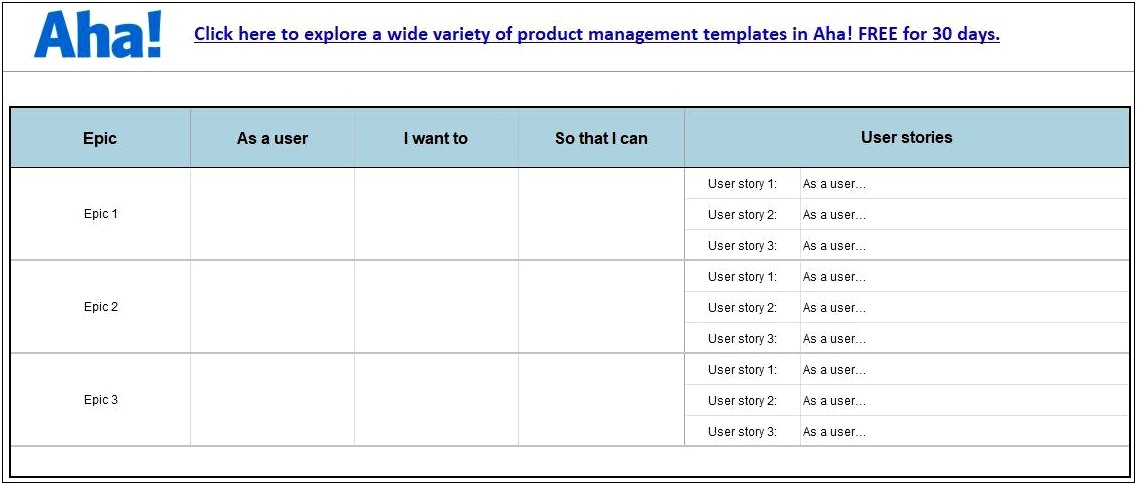 Project Goals Users Risks User Stories Word Template