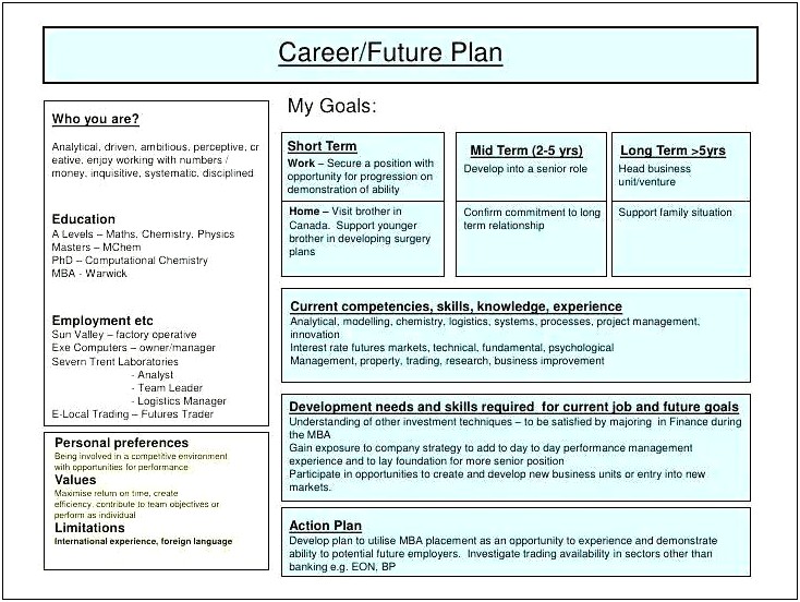 Project Management Personal Development Plan Template