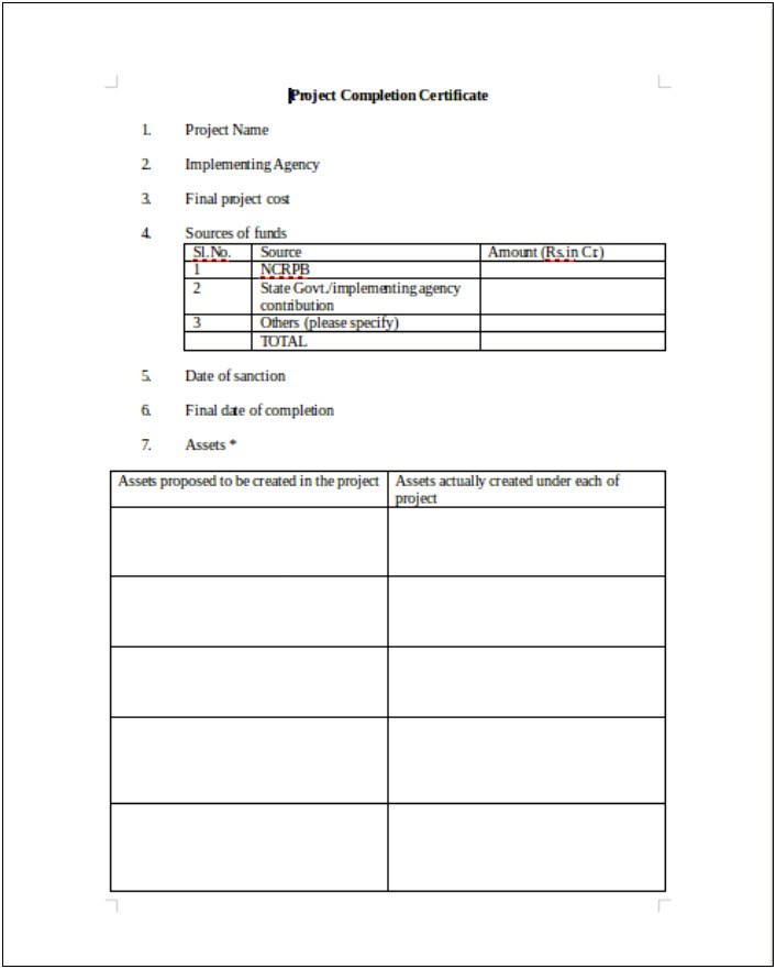 Project Management Professional Certificate Word Template