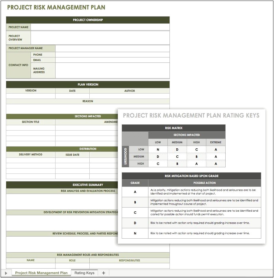 Project Management Risk Mitigation Plan Template