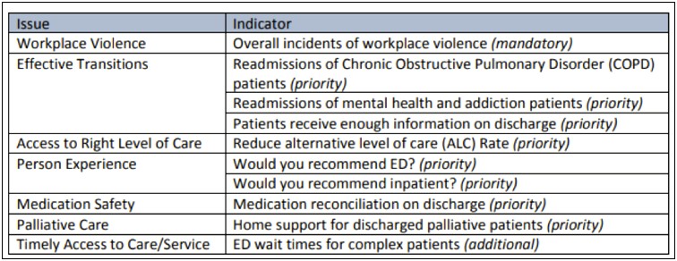 Quality Improvement Plan In Healthcare Template