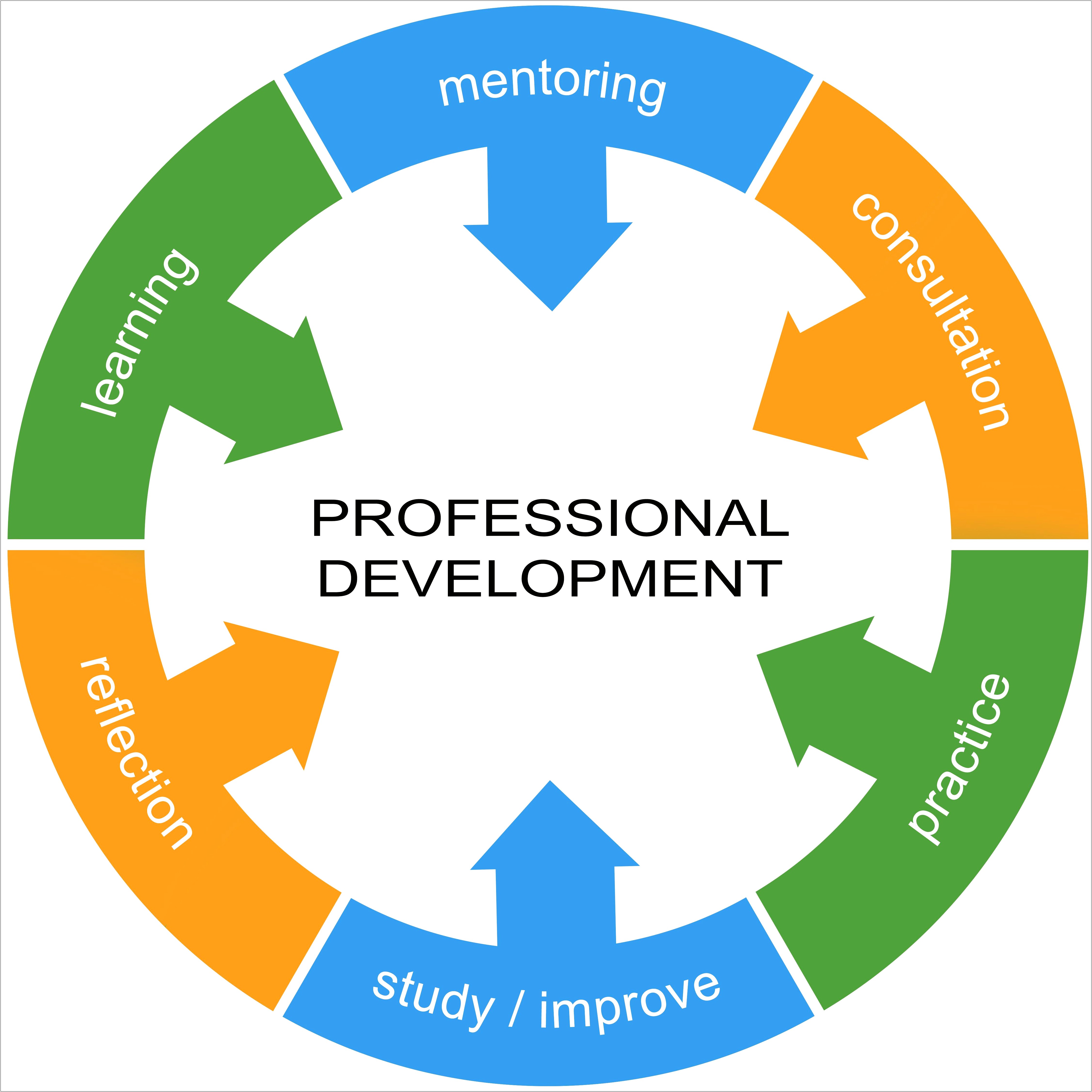 Reflective Practice And Professional Growth Planning Template