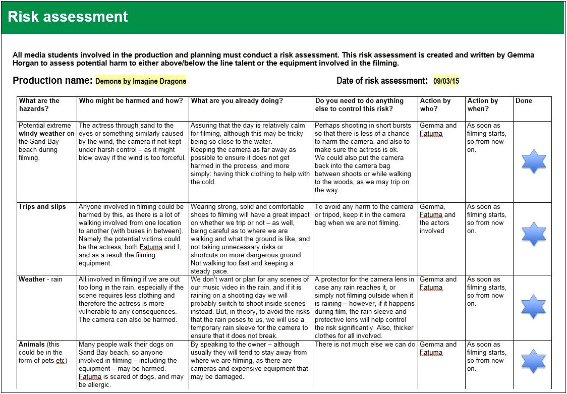 Risk Assessment And Treatment Plan Template