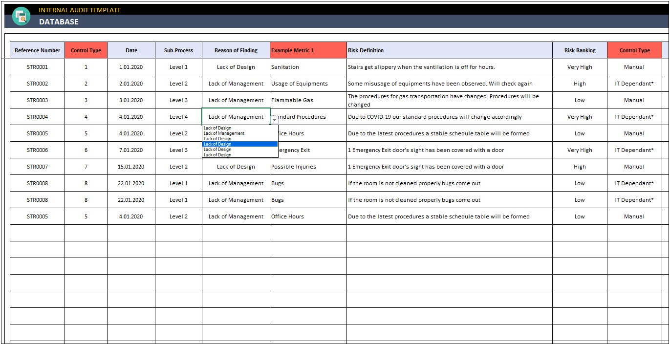 Risk Based Audit Plan Template Excel