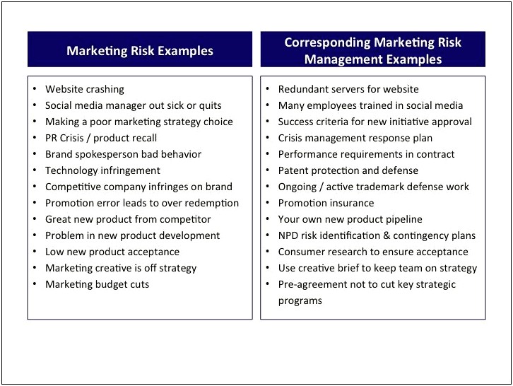 Risk Management And Contingency Plan Template