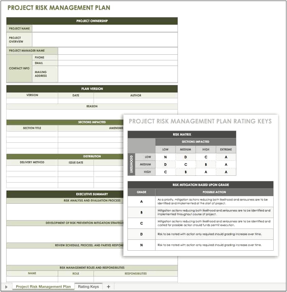 Risk Management Plan Template For Student Behaviour