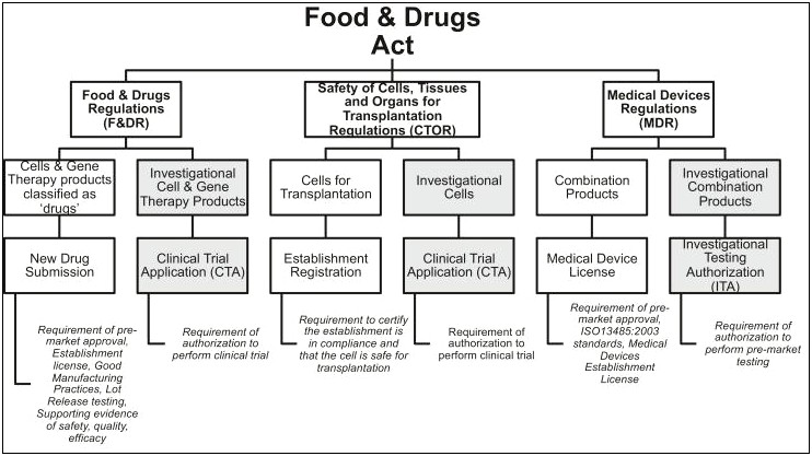 Risk Management Plan Template Health Canada