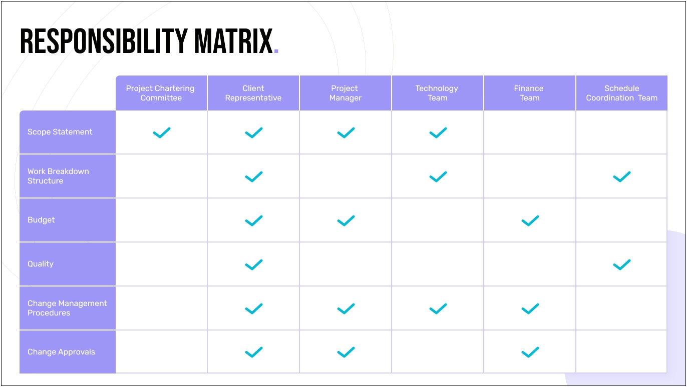 Roles And Responsibilities Matrix Template Word
