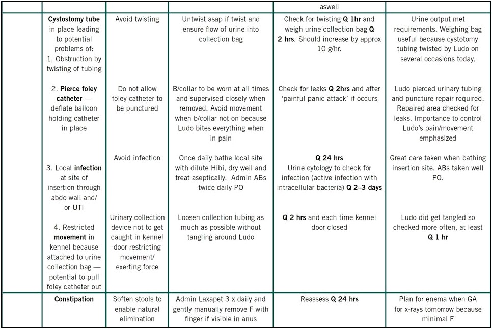 Roper Logan And Tierney Care Plan Template