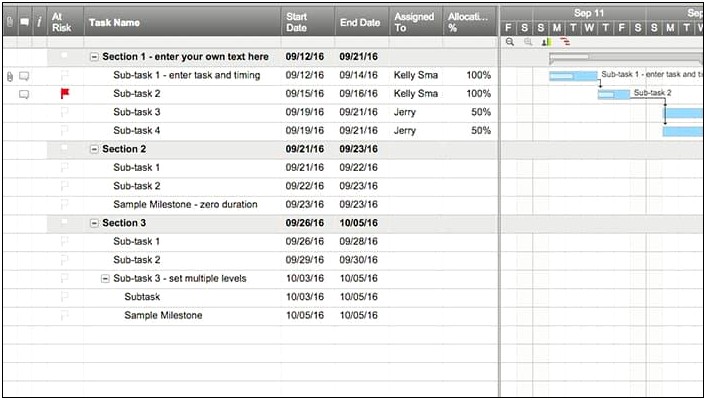 Sample It Audit Project Plan Template