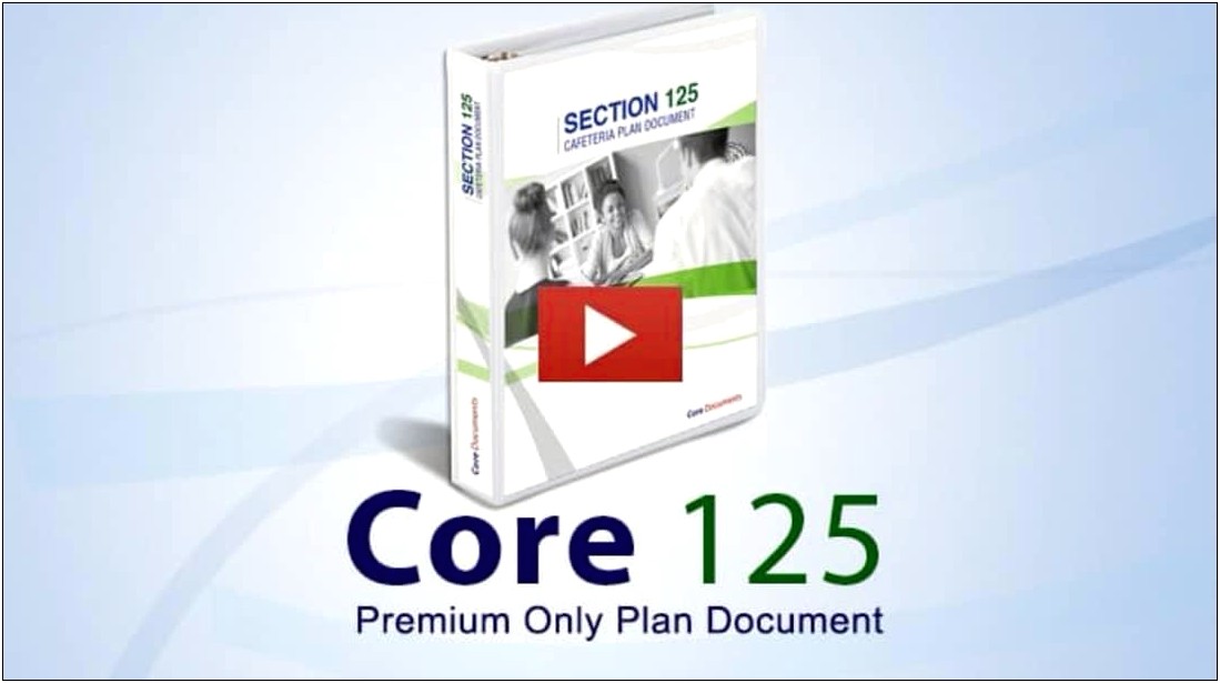 Section 125 Plan Template Document Pdf