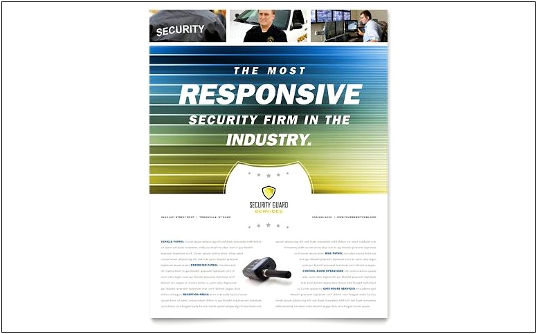 Security Company Business Plan Template Pdf