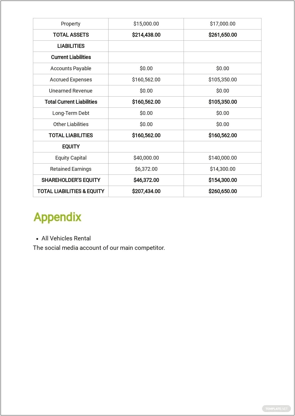 Short Term Rental Business Plan Template Pdf