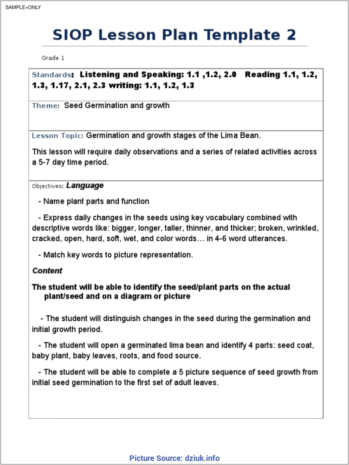 Siop Lesson Plan Template 4 Example