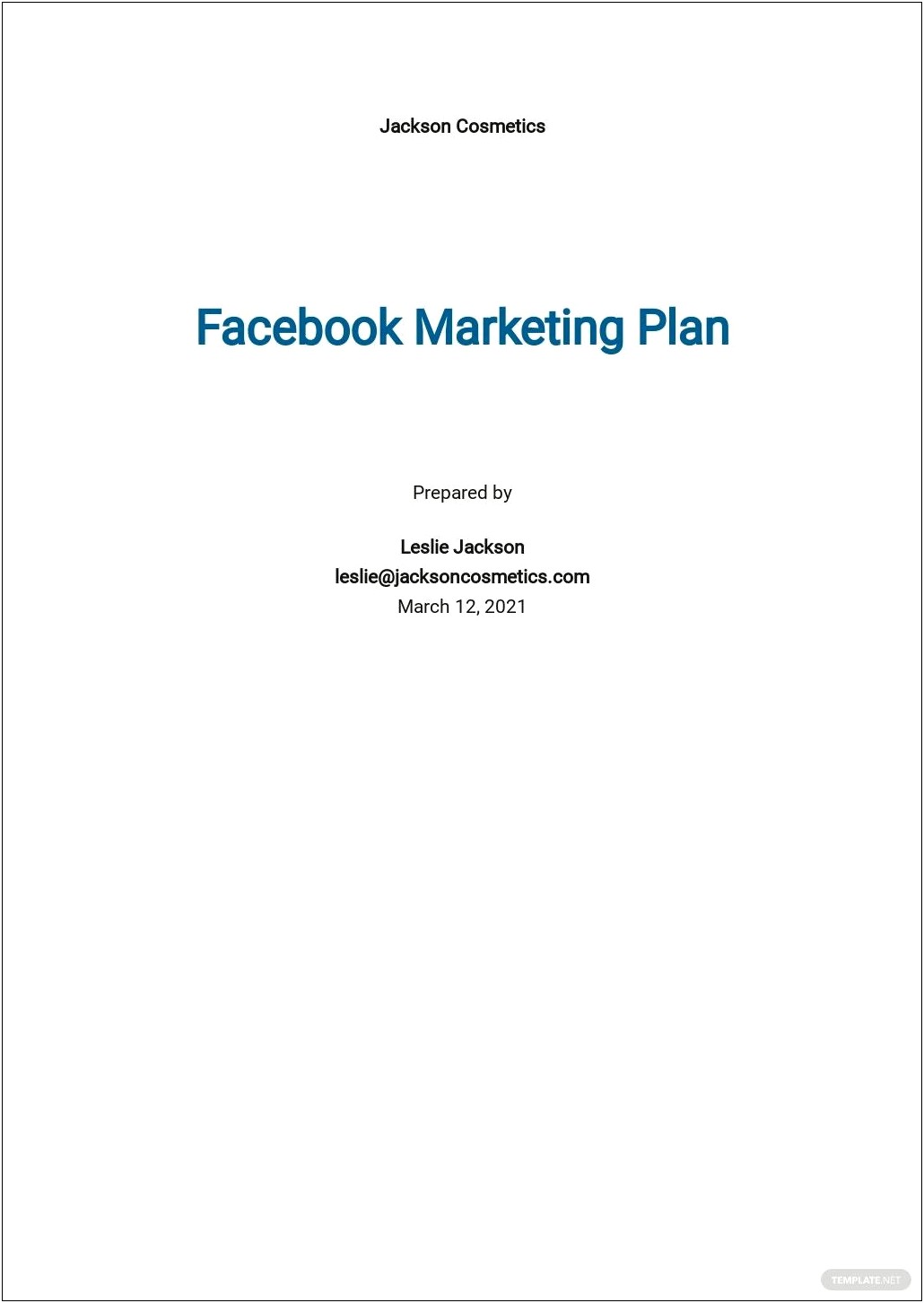 Small Business Marketing Plan Template Google Doc